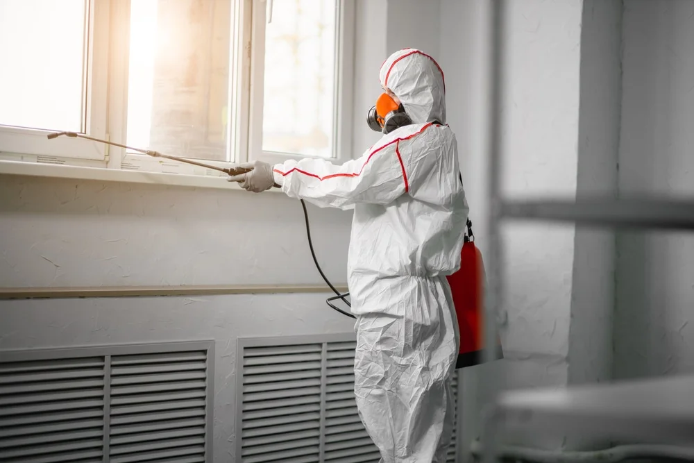 Professional mold remediation services in Vinemont, AL